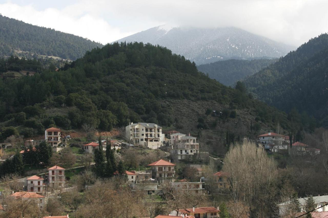 Amadriades Калаврита Номер фото